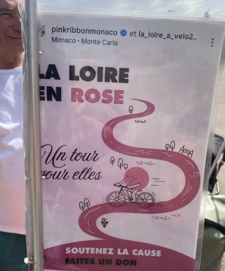 La Loire en rose