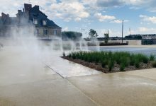 canicule