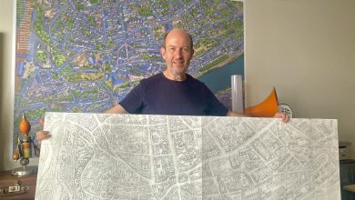 Dominique Hermier - Plan de Blois
