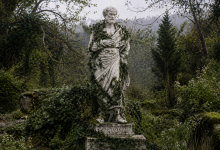 aristote nature