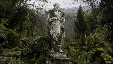 aristote nature